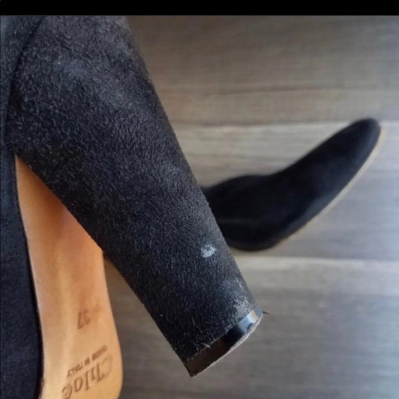 Chloe - Picture 7 of 8